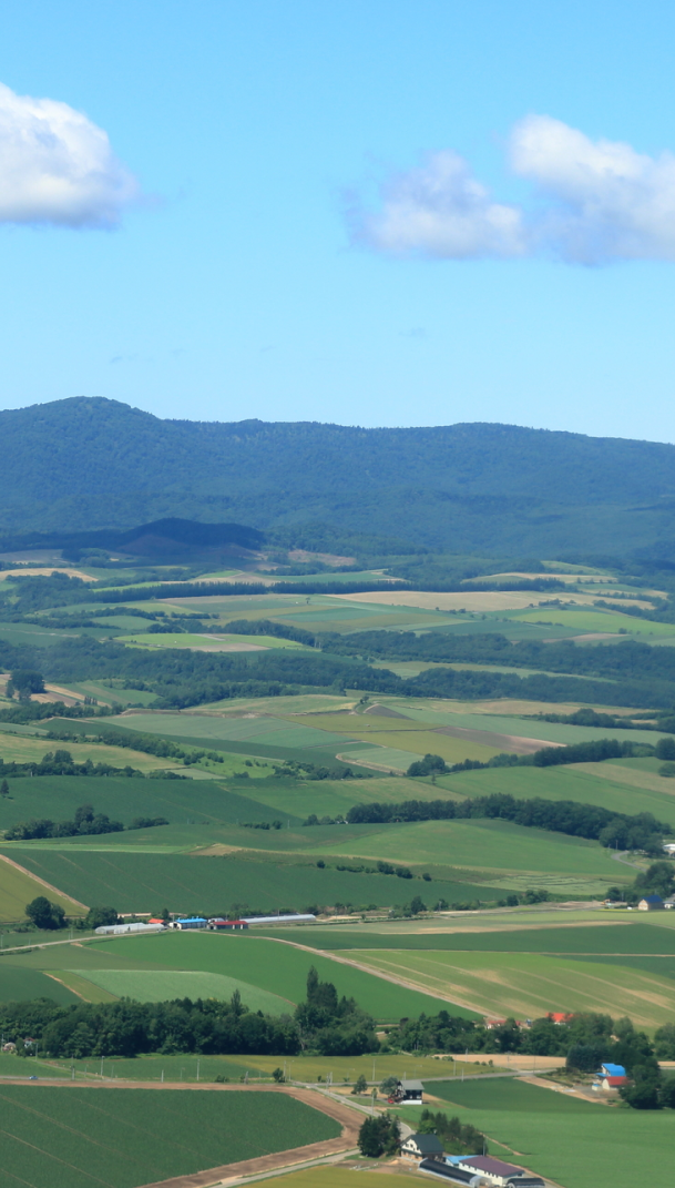 北海道の風景